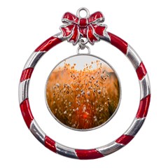 Late Afternoon Metal Red Ribbon Round Ornament