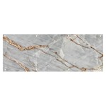 Gray Light Marble Stone Texture Background Banner and Sign 8  x 3  Front