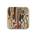 Feathers Birds Vintage Art Rubber Square Coaster (4 pack) Front