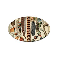 Feathers Birds Vintage Art Sticker Oval (100 Pack) by Vaneshart