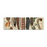 Feathers Birds Vintage Art Sticker Bumper (10 pack) Front