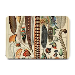 Feathers Birds Vintage Art Small Doormat by Vaneshart