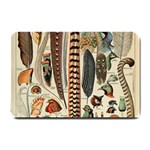 Feathers Birds Vintage Art Small Doormat 24 x16  Door Mat