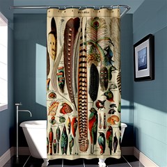 Feathers Birds Vintage Art Shower Curtain 36  X 72  (stall)  by Vaneshart