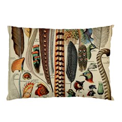 Feathers Birds Vintage Art Pillow Case (two Sides) by Vaneshart