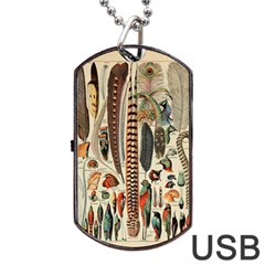 Feathers Birds Vintage Art Dog Tag Usb Flash (two Sides) by Vaneshart