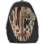 Feathers Birds Vintage Art Backpack Bag Front