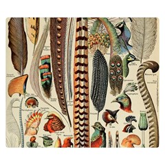 Feathers Birds Vintage Art Premium Plush Fleece Blanket (small) by Vaneshart