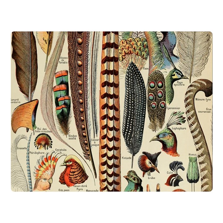 Feathers Birds Vintage Art Premium Plush Fleece Blanket (Large)