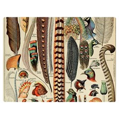 Feathers Birds Vintage Art Premium Plush Fleece Blanket (extra Small) by Vaneshart