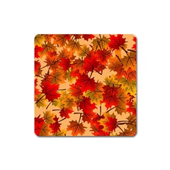 Wallpaper Background Autumn Fall Square Magnet by Vaneshart