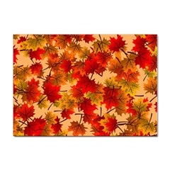 Wallpaper Background Autumn Fall Sticker A4 (10 Pack) by Vaneshart