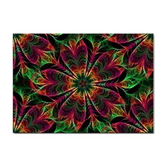 Multicolored Flower Mandala Wallpaper Kaleidoscope Pattern Sticker A4 (100 Pack)