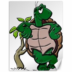 Amphibian-animal-cartoon-reptile Canvas 12  X 16  by 99art