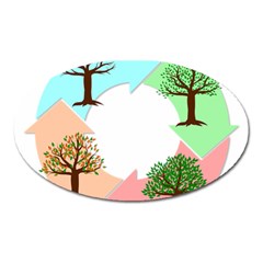 Seasons-of-the-year-year-tree Oval Magnet by 99art