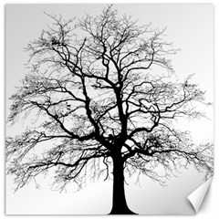 Tree-silhouette-winter-plant Canvas 12  X 12  by 99art