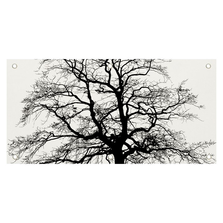 Tree-silhouette-winter-plant Banner and Sign 6  x 3 