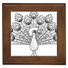 Peacock-plumage-display-bird Framed Tile