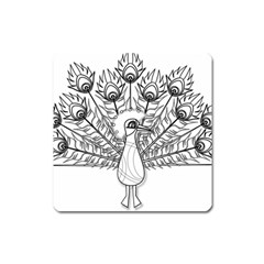 Peacock-plumage-display-bird Square Magnet