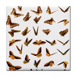 Butterfly Butterflies Insect Swarm Tile Coaster Front