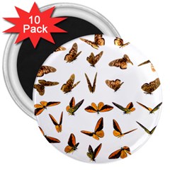 Butterfly Butterflies Insect Swarm 3  Magnets (10 Pack)  by 99art