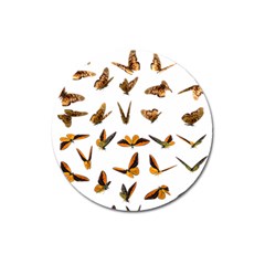 Butterfly Butterflies Insect Swarm Magnet 3  (round) by 99art