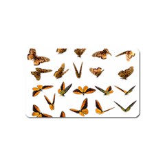 Butterfly Butterflies Insect Swarm Magnet (name Card) by 99art