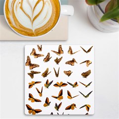 Butterfly Butterflies Insect Swarm Uv Print Square Tile Coaster  by 99art