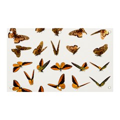 Butterfly Butterflies Insect Swarm Banner And Sign 5  X 3  by 99art