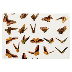 Butterfly Butterflies Insect Swarm Banner And Sign 6  X 4  by 99art