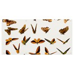 Butterfly Butterflies Insect Swarm Banner and Sign 8  x 4  Front