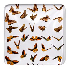 Butterfly Butterflies Insect Swarm Square Glass Fridge Magnet (4 Pack) by 99art