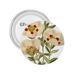 Nature-flower-leaf-plant-isolated 2 25  Buttons by 99art