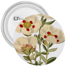 Nature-flower-leaf-plant-isolated 3  Buttons by 99art