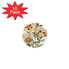 Nature-flower-leaf-plant-isolated 1  Mini Buttons (10 Pack)  by 99art