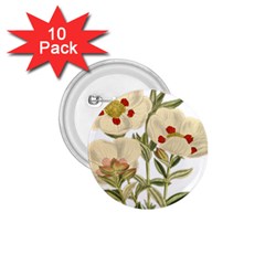 Nature-flower-leaf-plant-isolated 1 75  Buttons (10 Pack) by 99art