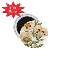 Nature-flower-leaf-plant-isolated 1 75  Magnets (100 Pack)  by 99art