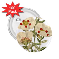 Nature-flower-leaf-plant-isolated 2 25  Buttons (100 Pack)  by 99art