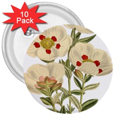 Nature-flower-leaf-plant-isolated 3  Buttons (10 Pack)  by 99art