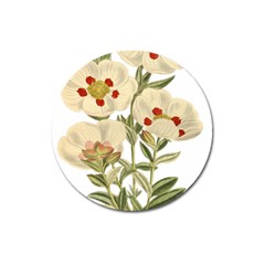 Nature-flower-leaf-plant-isolated Magnet 3  (round) by 99art