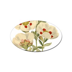 Nature-flower-leaf-plant-isolated Sticker Oval (10 Pack) by 99art