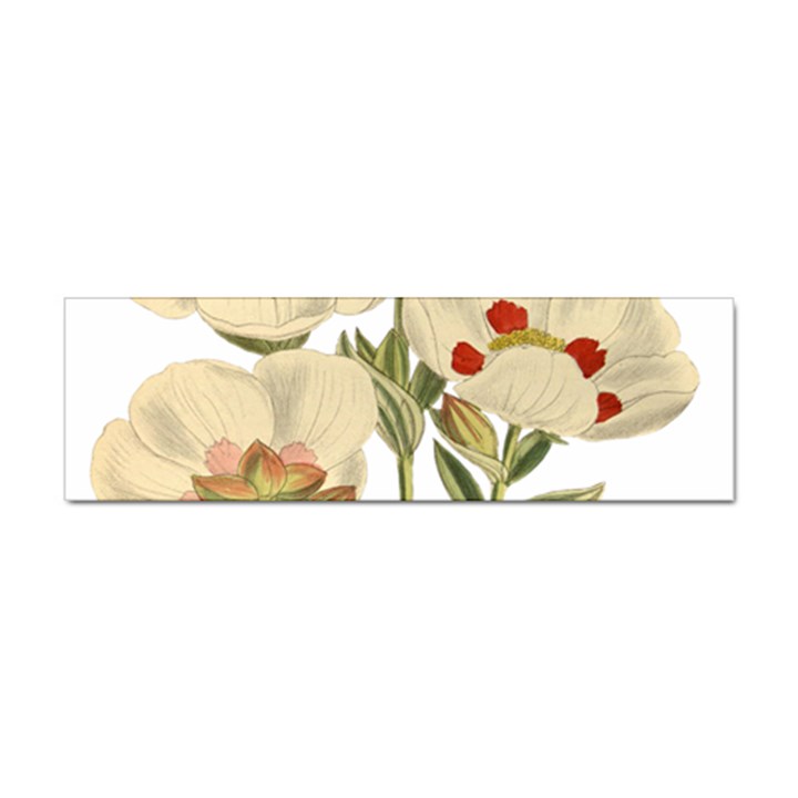 Nature-flower-leaf-plant-isolated Sticker Bumper (100 pack)