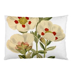 Nature-flower-leaf-plant-isolated Pillow Case by 99art