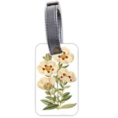 Nature-flower-leaf-plant-isolated Luggage Tag (two Sides) by 99art