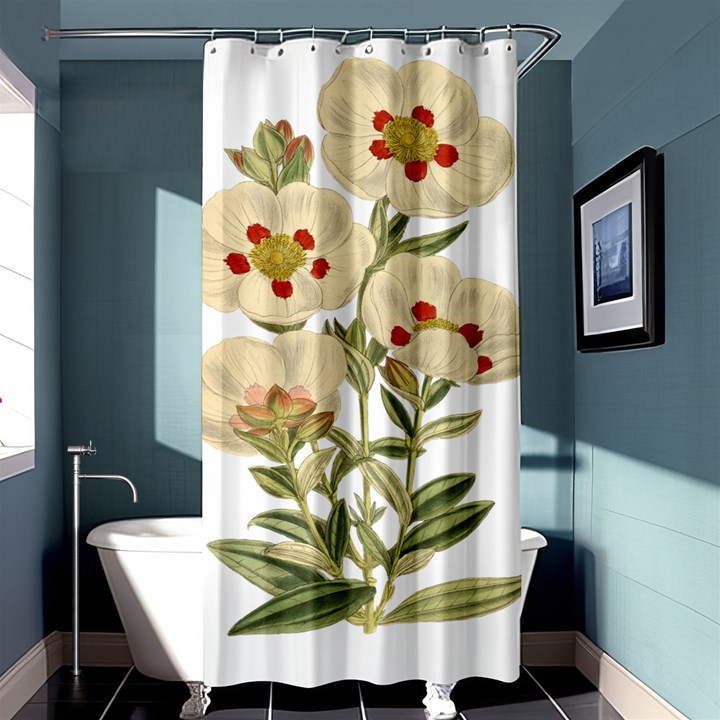 Nature-flower-leaf-plant-isolated Shower Curtain 36  x 72  (Stall) 