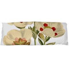 Nature-flower-leaf-plant-isolated Body Pillow Case (dakimakura) by 99art