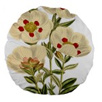 Nature-flower-leaf-plant-isolated Large 18  Premium Round Cushions Back