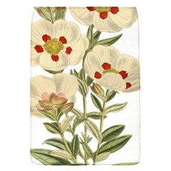 Nature-flower-leaf-plant-isolated Removable Flap Cover (s) by 99art