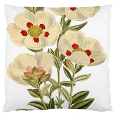 Nature-flower-leaf-plant-isolated Standard Premium Plush Fleece Cushion Case (one Side) by 99art