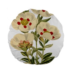 Nature-flower-leaf-plant-isolated Standard 15  Premium Flano Round Cushions by 99art